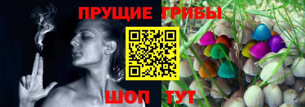 Псилоцибиновые грибы MAGIC MUSHROOMS  как найти закладки  Минеральные Воды  Вход с VPN  Псилоцибиновые грибы мицелий 