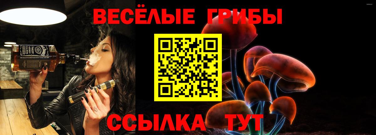 Галлюциногенные грибы мицелий Минеральные Воды